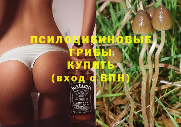ПСИЛОЦИБИНОВЫЕ ГРИБЫ Абаза
