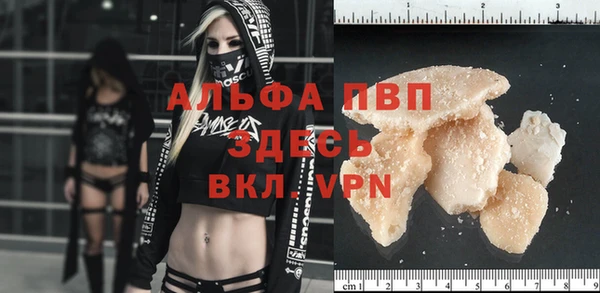 ПСИЛОЦИБИНОВЫЕ ГРИБЫ Абаза