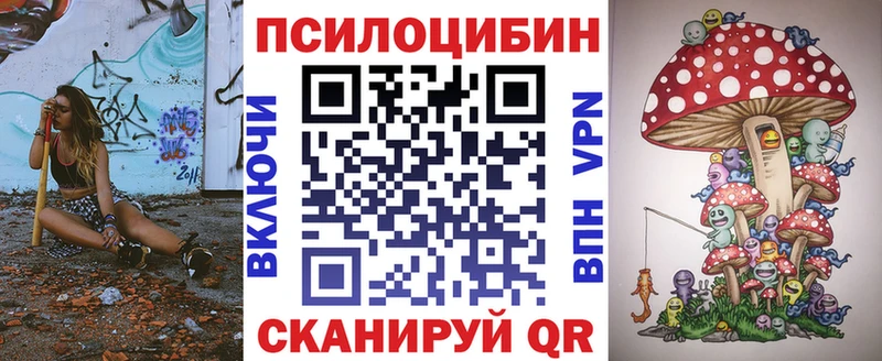 Галлюциногенные грибы Psilocybine cubensis МЕГА сайт Зея купить наркоту